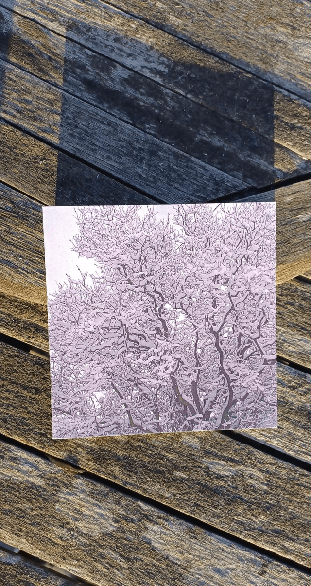 Snowy tree