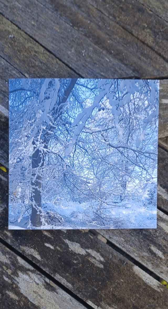 Snowy tree 2