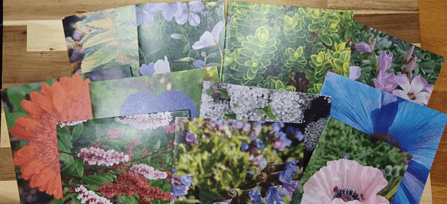 5 mixed flower or leaf greetings cards