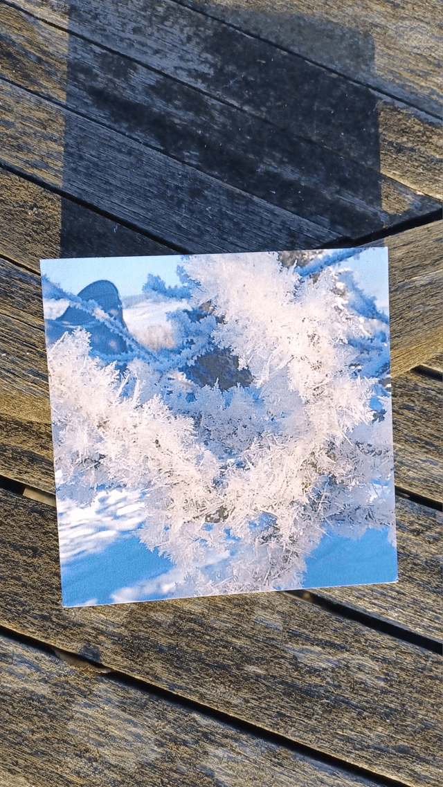 Frost