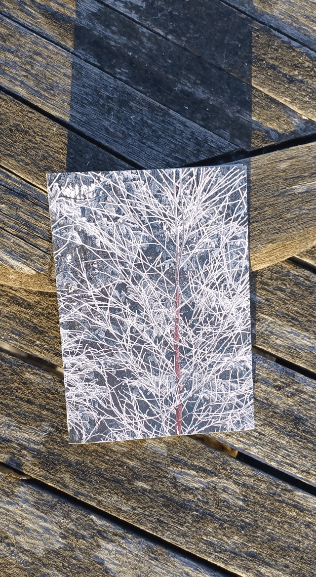 Frost 3