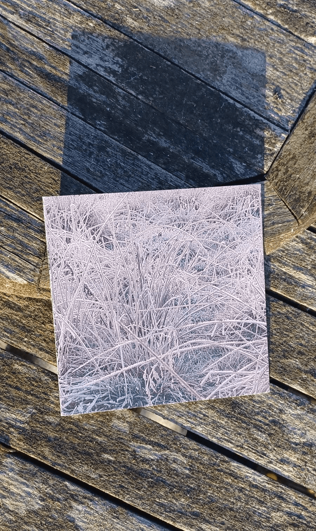Frost 4