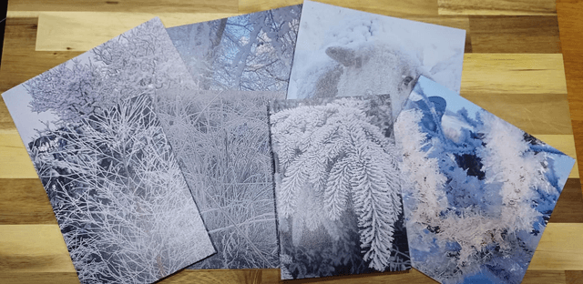 5 mixed Christmas greetings cards